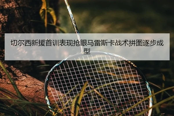 切尔西新援首训表现抢眼马雷斯卡战术拼图逐步成型